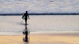 Homegrown surfschool