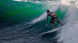 Surfer