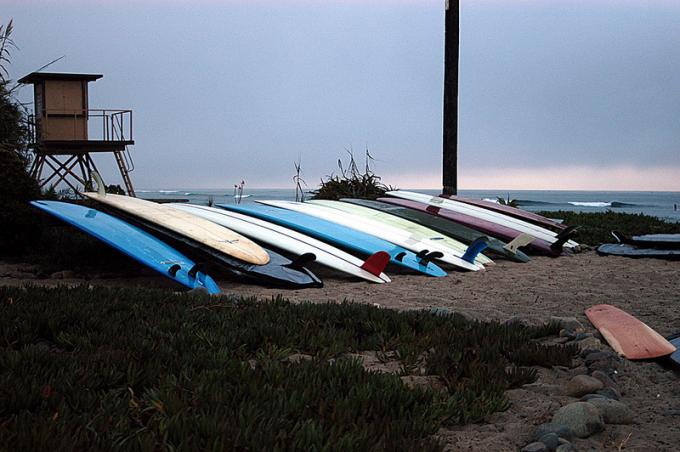 Surfest quiver