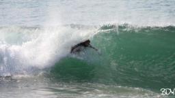 California Barrels