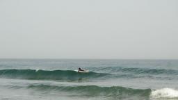 DANUBE SURF COMMUNİTY