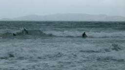 The Surf