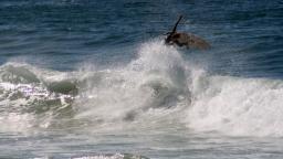 airborne