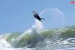 nz_grom