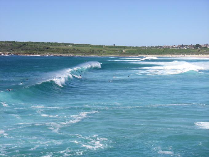 Maroubra doing the business.