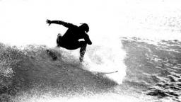 houghton bay wellington