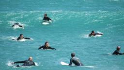 houghton bay wellington