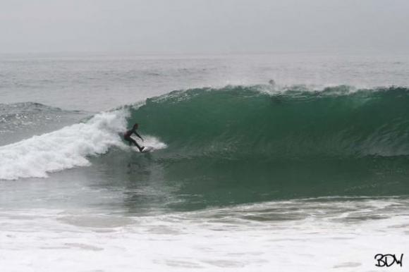 The Wedge