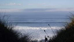 Waves