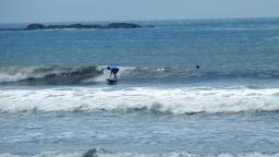 Individul surf lesson at Dominicalito