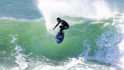 Cowries Shellharbour