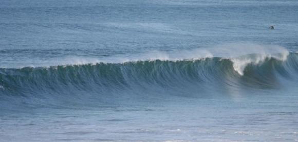 Surfing California