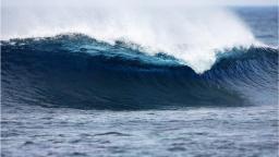 Brims Ness Perfection