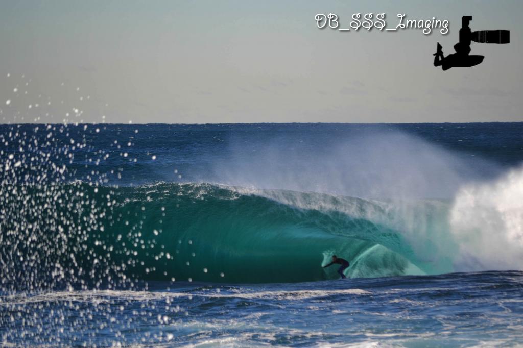 Sydney Beast