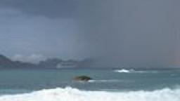 Squall