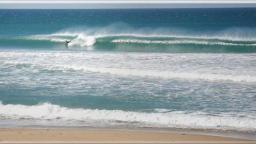 el palmar