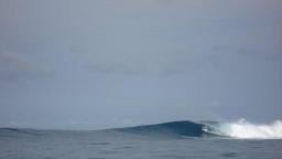 mentawai