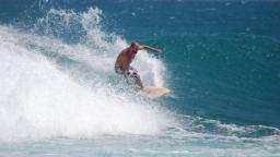 Cutback