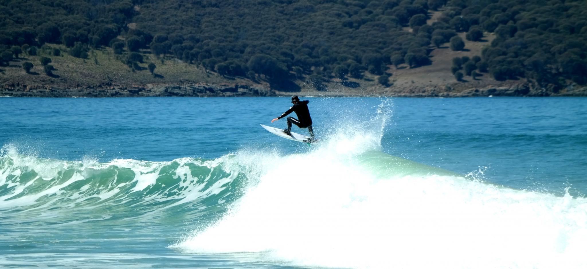 Surfer 