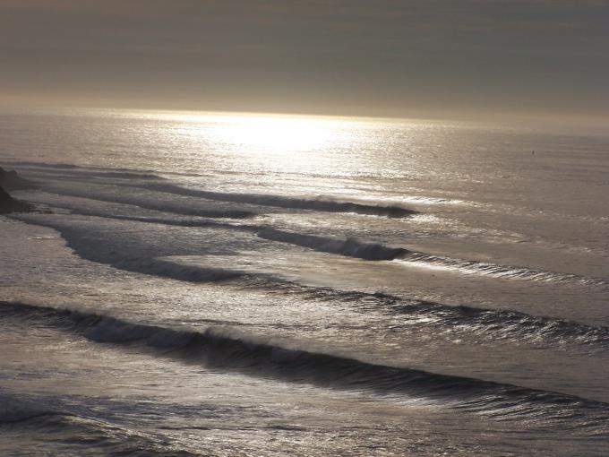 The cove 25+ft