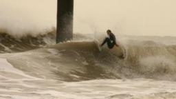 Seal Palling East Coast UK