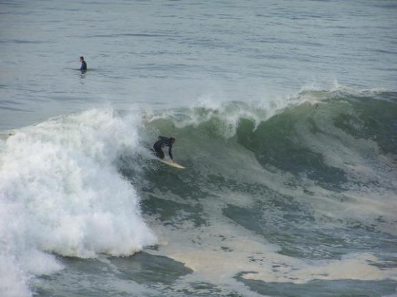 south bay exiles