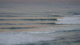 shellys portmacqurie nsw