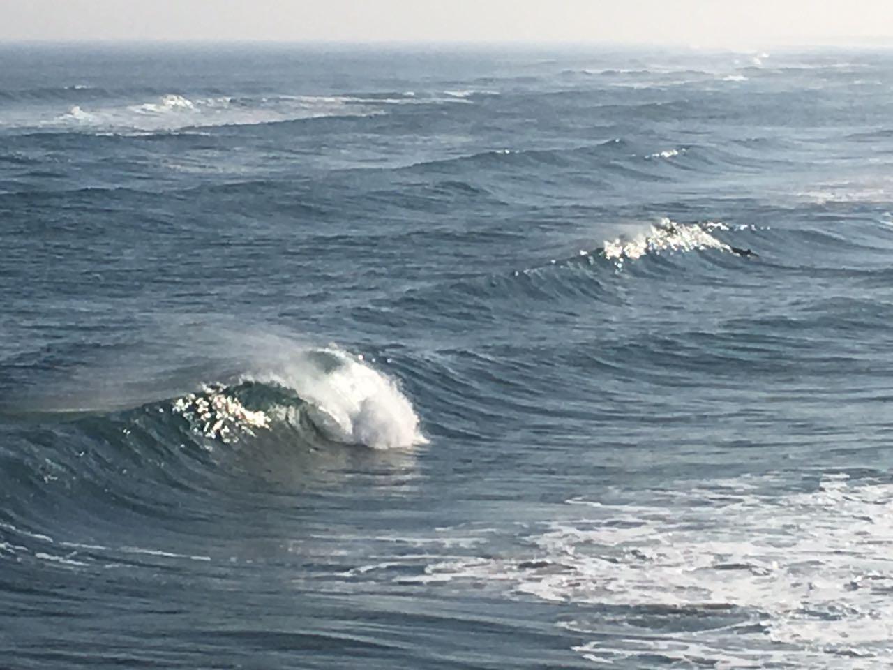 DANUBE SURF COMMUNİTY