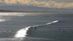 Surf Line