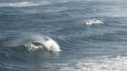 DANUBE SURF COMMUNİTY
