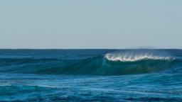 Pacific Tides