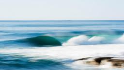 OCean Raw