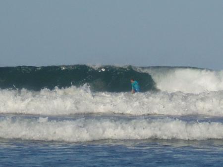 Brazilian J.B (Ubatuba)