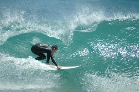 houghton bay wellington