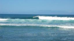 Fuerteventura