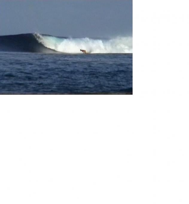 mentawai