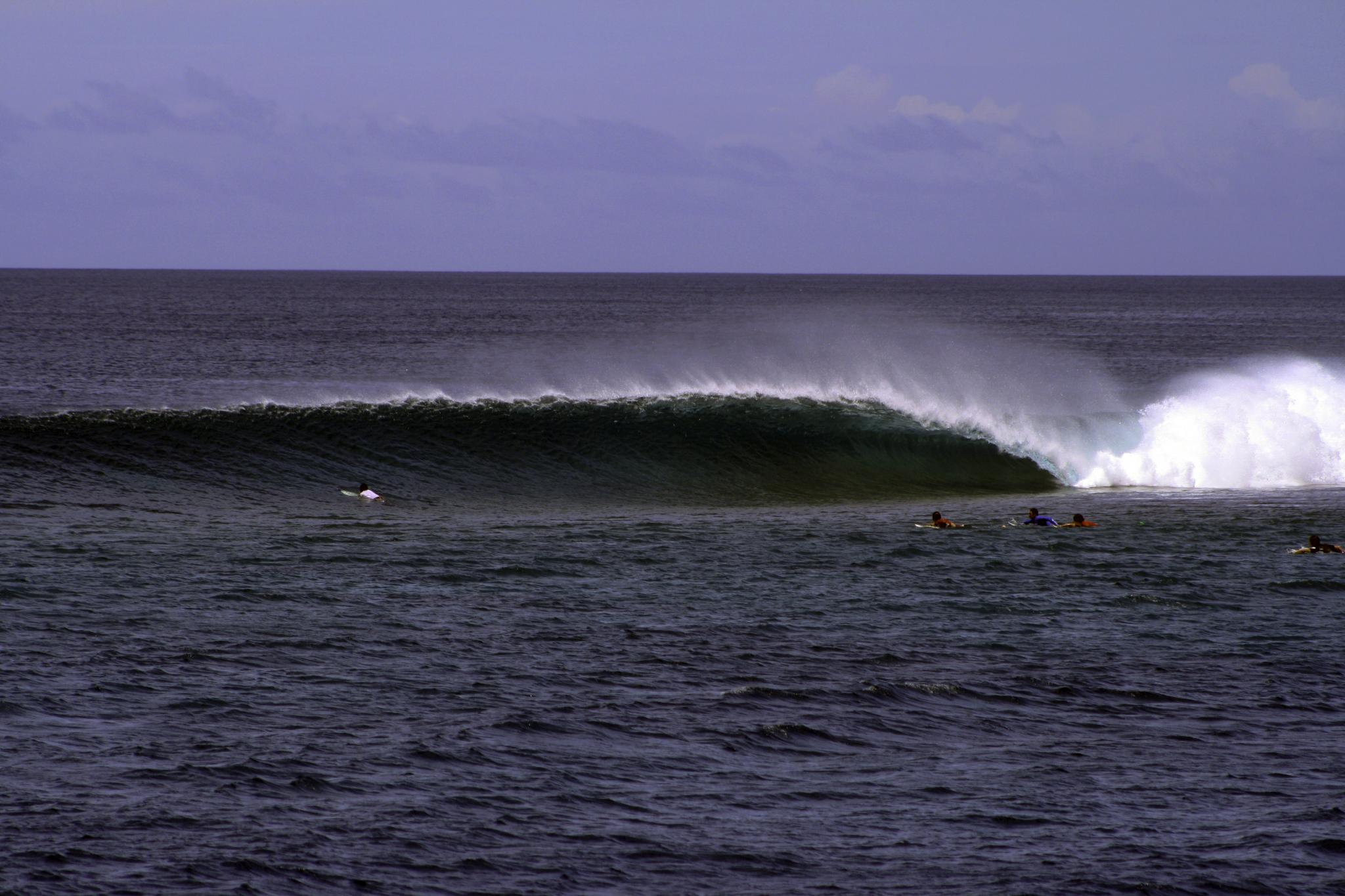 Surfing Laamu
