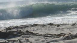 Elands Bay S. A.