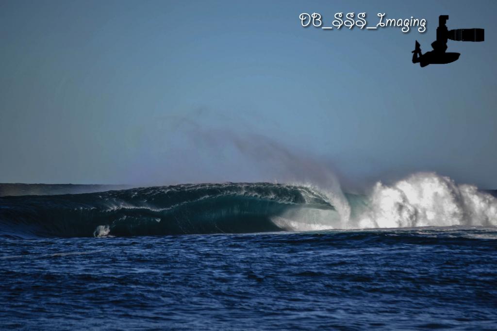 Shark Island