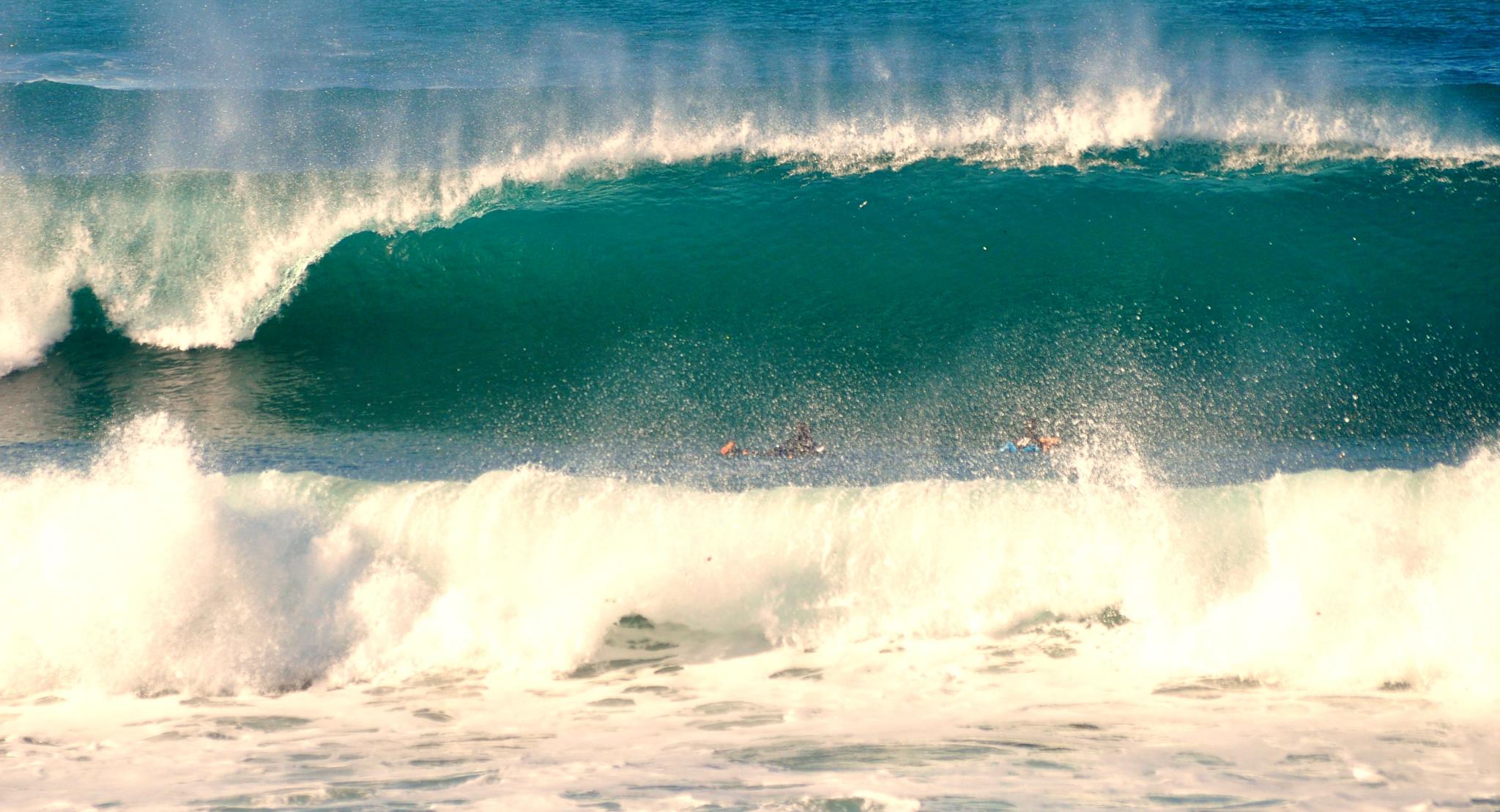 Las Palmas Surfing