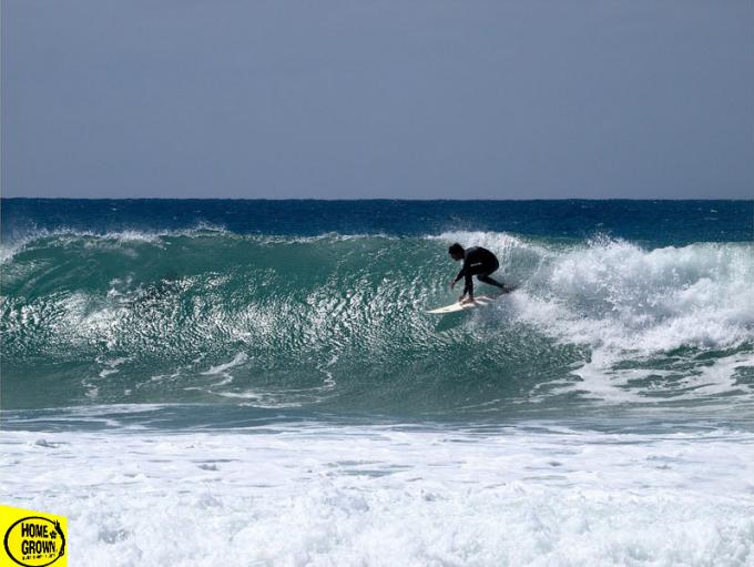 Homegrown surfschool