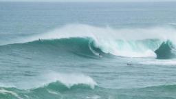 Waimea