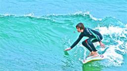 wave at dickies