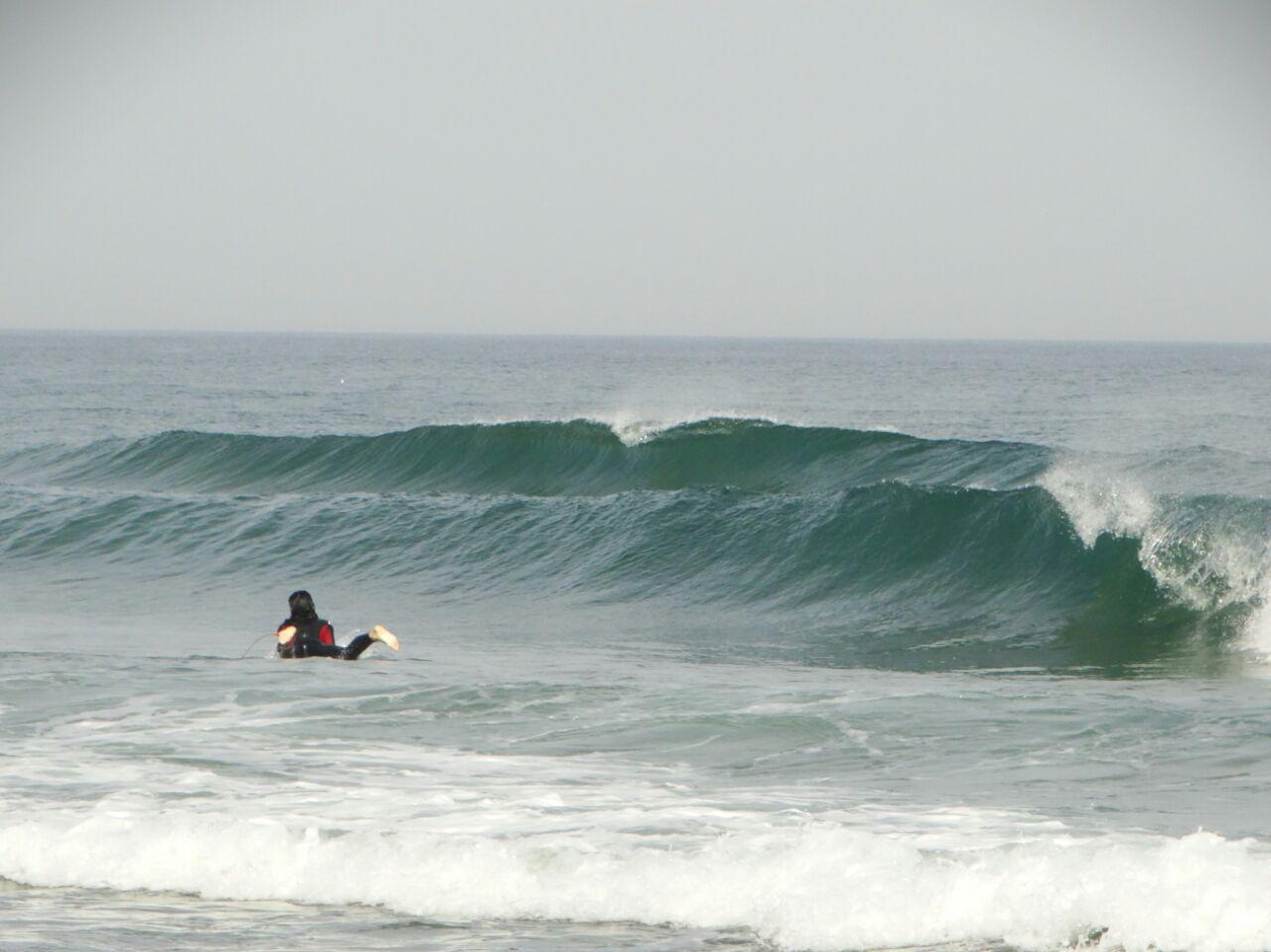 DANUBE SURF COMMUNİTY