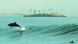 Surfing Around The Globe - Nate Yeomans