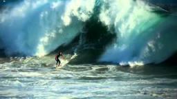 August at the Wedge