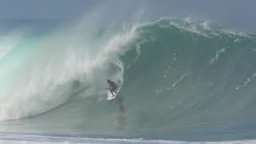 Eaten Alive In Puerto Escondido
