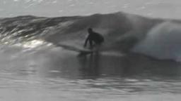 SurfDonkey Ep. 001