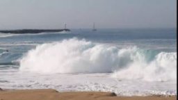 Surfline Live Highlight Clip From The Wedge