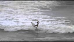 Open Women Final 29th Annual Quiksilver-Big Island Toyota Pro-Am Surfing Trials 8-10-2013 